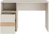 Forte WEXLIN Schreibtisch 120, moderner Schreibtisch mit Stauraumfach und Schranktür, Kinder- und Jugendzimmer, Kaschmir|Beige|Mauvella Eiche Holzdekor, 119,7 cm breit x 75,7 cm hoch x 50,2 cm tief Bild 4