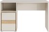 Forte WEXLIN Schreibtisch 120, moderner Schreibtisch mit Stauraumfach und Schranktür, Kinder- und Jugendzimmer, Kaschmir|Beige|Mauvella Eiche Holzdekor, 119,7 cm breit x 75,7 cm hoch x 50,2 cm tief Bild 2