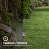 Solar Laterne Schwarz 38 cm 2er - 8er Bild 5