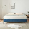 Doppelbett Lilla Samt 180x200 cm Blau [en. casa] Bild 2