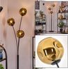 hofstein Stehlampe Stehlampe aus Metall/Glas in Schwarz/Goldfarben, moderne Leuchte im Retro/Vintage-Design (15 cm), Fußschalter, E14 Bild 5