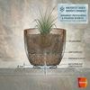 Teramico Blumentopf Pflanztopf "Diamant" Royal Blau – Glasiert – Frostfest & Handarbeit (1 St), Frostfest, UV-Fest Bild 4