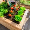 Klassik 100 | Garten Hochbeet aus Holz | Bild 3