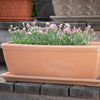 Balkonkasten glatt antik 30 x 16 x 14 cm mit Ablaufloch – dekorativ, robust und ideal für Balkon, Terrasse oder Fensterbank Bild 2