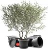 BigDean 8 Stück Blumentopf mit Untersetzer rund ø 40 cm Anthrazit – wetterfester Pflanzkübel Made in Europe Bild 2