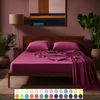 Carpe Sonno Feinjersey Bettlaken aus 100% Baumwolle, Pink, 90-100x200 cm Bild 2