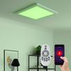 LED Deckenpanel, 2000 Lumen, Fernbedienung, App, L 30 cm Bild 2