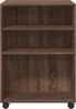 vidaXL Beistelltisch mit Rollen Braun Eiche 55x60x78 cm Holzwerkstoff 853161 Bild 4