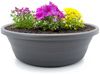 matches21 HOME & HOBBY Blumentopf Pflanzkübel mit Untersetzer 25 cm Pflanzschale für aussen grau (1 St), Wetterfester Blumenkübel als runder Grabschmuck Blumentopf Bild 2