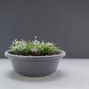 matches21 HOME & HOBBY Blumentopf Pflanzkübel mit Untersetzer 25 cm Pflanzschale für aussen grau (1 St), Wetterfester Blumenkübel als runder Grabschmuck Blumentopf Bild 3