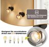 Nettlife Deckenstrahler Küchenlampe 2/3/4/6 Flammig Modern E14 Rauchglas Deckenleuchte, Schwenkbar, LED wechselbar, Wohnzimmerlampe für Schlafzimmer Flur Küche Bild 2