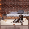 MELODY LATEX Anti-Haar Kunstleder | Orthopädisches LUXUS-Hundebett - 04 Dunkelrot, 85x60cm Bild 5