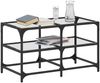 vidaXL Couchtisch mit Glasplatte Transparent 78,5x40x45 cm Stahl 846010 Bild 3