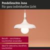 Pendelleuchte Juna E27 max. 20W Champagner, Weiß matt dimmbar Metall Bild 3