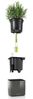 LECHUZA Pflanzgefäße 3 Stk. Green Wall Home Kit Glänzender Anthrazit 425622 Bild 5