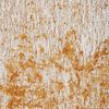 9490 Sunflower - 80 x 150 Bild 3
