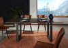 Esstisch Akazie 200x100 grau lackiert / U-Beine anth. matt SWISS EDGE Bild 3