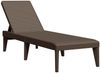 vidaXL Sonnenliege Braun 186x60x29 cm PP 364217 Bild 2