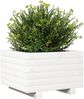 vidaXL Pflanzkübel Weiß 40x40x26,5 cm Massivholz Kiefer 847289 Bild 4