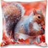 Bestlivings Dekokissen mit Fotodruck ca. 40x40cm, Beidseitig bedruckt, in vielen Motiven verfügbar ( Design: EICHHÖRNCHEN / KASTANIEN ) Bild 2