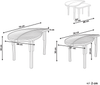 Couchtisch 2er Set PARALIA Rattan Naturfarben Bild 2