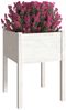 vidaXL Pflanzkübel Weiß 50x50x70 cm Massivholz Kiefer 810801 Bild 3