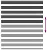 vidaXL Doppelrollo Schwarz 120x150 cm Stoffbreite 115,9 cm Polyester 4014239 Bild 5