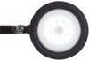 Maul LED-Tischleuchte Maulgrace colour vario dimmbar schwarz Bild 2