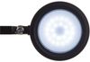 Maul LED-Tischleuchte Maulgrace colour vario dimmbar schwarz Bild 4