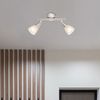 Deckenlampe, Spots beweglich, Nickel-Matt Bild 4