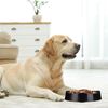 Relaxdays Anti Schling Napf Hund Bild 3