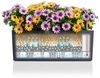 LECHUZA Pflanzgefäß BALCONERA Cottage 50 ALL-IN-ONE Weiß 442089 Bild 4