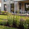 Rankgitter KALLE - 100x2x150cm, Metall, Bronze | Rankhilfe Kletterpflanzen Gartendekoration Bild 3