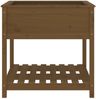 vidaXL Pflanzkübel mit Ablage Honigbraun 82,5x82,5x81 cm Kiefernholz 823797 Bild 5
