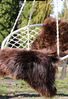 Lammfell Natur Farben Farbe: Grizzly | Größe: 100-110 Bild 2