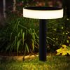 LED Solarleuchte, Erdspieß, Akku, schwarz, H 56,1 cm Bild 5