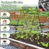 A-förmige Gurke Rankhilfe mit Gartennetz & Pflanzenclips Metall Pflanzenhalter Rankgitter Bild 5