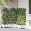 vidaXL Garten-Pflanzgefäß 5 pcs Weiß 120 x 120 x 126 cm Kunststoff 42002923 Bild 3