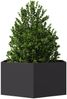 vidaXL Pflanzkübel Schwarz Sechseckig 104x90x45 Stahl 851129 Bild 3