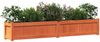 vidaXL Pflanzkübel Wachsbraun 180x31x31 cm Massivholz Kiefer 837498 Bild 4