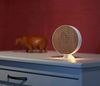 Northpoint LED Dekolicht Naturgeräuschebox Vogelzwitscher Bewegungsmelder Licht Aufladbar Bild 3
