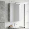 vidaXL Badezimmerspiegelschrank mit Regal Beton Grau 50 x 14,5 x 70 cm 889050 Bild 4