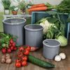 3er Set Oskar Vorratsdose S M & L in Grau Kartoffeln Zwiebeln Knoblauch Bild 3