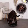 lionto Antischlingnapf für Hunde & Katzen mit Anti-Rutsch-Füßen, spülmaschinenfest & robust, 30 cm, schwarz Bild 3