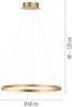 Paul Neuhaus 2382-60 Titus LED Pendelleuchte 60 messingfarben Bild 5