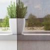 vidaXL Voile Vorhänge mit Stangentaschen 2 Stk. Braun 4102173 Bild 3