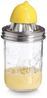 ZELLER 19699 Saftpresse, 450 ml, Glas/Edelstahl Bild 2