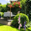 Rankhilfe Obelisk hoch Bild 3