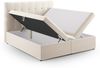 Micadoni Boxspringbett Mamaia Samt Bluvel Helles Beige 160x200 Bild 4