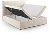 Micadoni Boxspringbett Mamaia Samt Bluvel Helles Beige 160x200 Bild 3